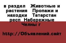  в раздел : Животные и растения » Пропажи и находки . Татарстан респ.,Набережные Челны г.